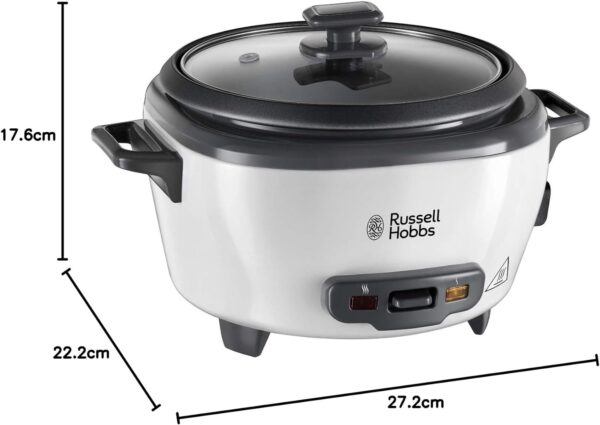 Organic green fresh broccoli